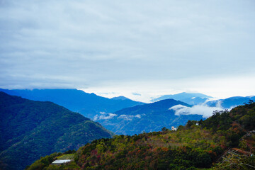 ali shan mountain and qingjing farm landscape in Taiwan	