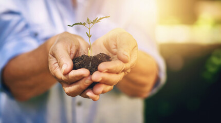 Soil, old woman and hands with plant, outdoor and sunshine with nature, hobby and retirement....