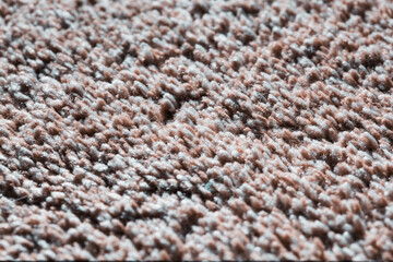 Carpet macro detail