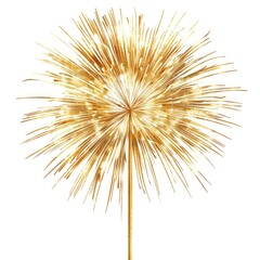 Colorful gold a firework fireworks backgrounds outdoors isolated on white background 