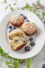 Close-up of Three Blueberry Muffins on a White Plate Surrounded by Blueberries and Blueberry Branches