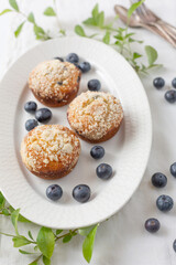 Close-up of Three Blueberry Muffins on a White Plate Surrounded by Blueberries and Blueberry Branches