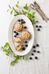 Top View of Three Blueberry Muffins on a White Plate Surrounded by Blueberries and Blueberry Branches