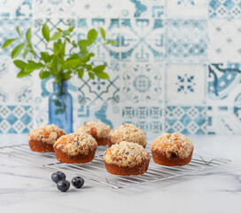 Homemade Blueberry Muffins on a Cooling Rack in Blue and White Kitchen; Blueberries Scattered Around; Blueberry Branches in Blue Vase in Background