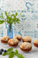 Homemade Blueberry Muffins on a Cooling Rack in Blue and White Kitchen; Blueberries Scattered Around; Blueberry Branches in Blue Vase in Background