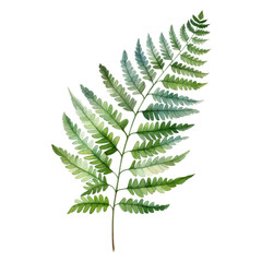 Royal Fern, Tropical Leaf Illustration. Watercolor Style. AI Generated