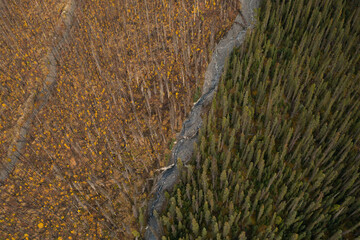 Aerial view of a mountain full of burned trees.