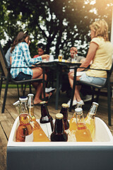 Case, alcohol and outside on weekend with friends for beer, cider and spirits on porch or backyard. Reunion, social and dinner party with day camping, meal and summer in America with drinks for fun.