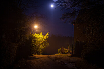 A lantern illuminating the road at night wiht the full moon on the sky | Latarnia oświetlająca...