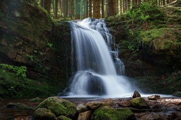 A serene waterfall flows through lush vegetation in a forested ecoregion