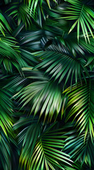Palm leaves background