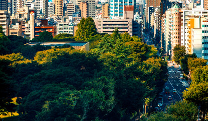 Shinjuku, Tokyo Japan, cityscape on a clear day