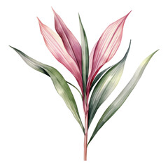 Obraz premium Ti Plant, Tropical Leaf Illustration. Watercolor Style. AI Generated