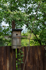 Wooden birdhouse on a tree.