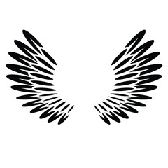 Angel Wings isolated on white, vector