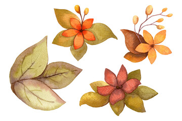 Obraz premium Leaves and flowers watercolor hand drawn isolated fall illustration. Autumn warm colors floral set for package design, greeting card and rustic wedding invitation.