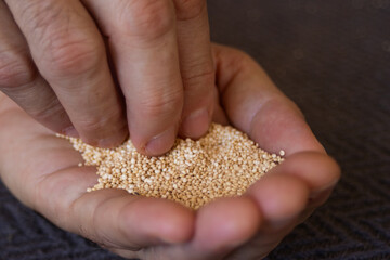 Man's hand holding quinoa seeds and touching the grains.