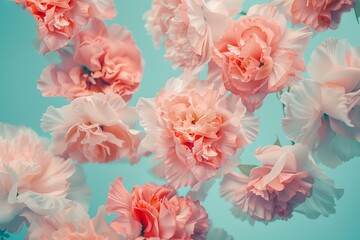 A beautiful array of peach-colored carnations set against a soothing blue background in a soft, aesthetic composition.