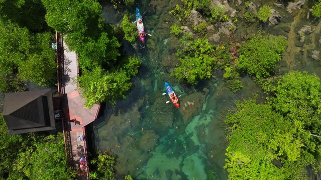 Top view Mangrove forest and river landscape at Thapom Klong Song Nam, Krabi Thailand, Beautiful root in mangrove forest with crystal clear water in small canal,High angle view