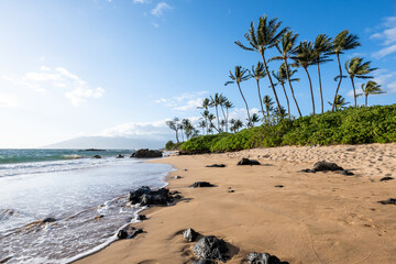 Tropical vacation paradise, golden sandy beach at sunset with lava rock and palm trees, Mōkapu Beach, Maui, Hawaii
