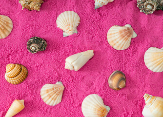 Creative surreal summer pattern composition made of various sea shells on pink beach sand background. Minimal concept photo of summer vacation. Summer aesthetic. Surreal nature exotic flat lay.
