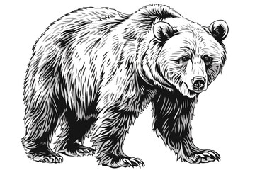 vector world wild animals, mammals, fish, reptiles, and birds. Rare animals. Funny flat characters, good for banners, prints, patterns, infographics, children's book illustrations etc generated ai