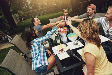 Friends, toast and lunch in summer, backyard or happy for food, diversity or celebration on patio....