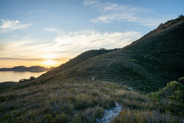trekking in the wilderness. boardwalk walking track in a national park in tasmania