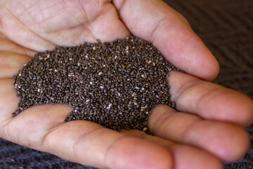 Man's hand holding chia seeds. Close-up photo.