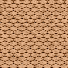 Reptile Skin - Real Reptiles, Lizard