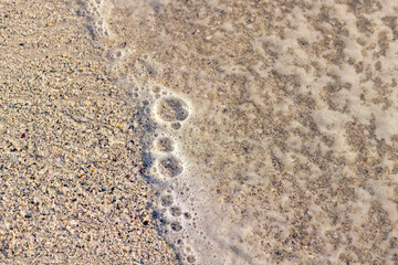 Obraz premium At beach, foam bubbles forming on sandy shore as wave receding