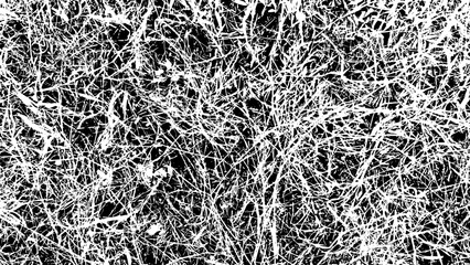 5-46. Dry grass Texture Effect - Illustration. Old Grass Leaf Black and White Vector Texture. © Robert Kim