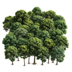 Jungle green trees in 3D rendering on a transparent background, creating isolated PNG files for seamless integration in various projects.
