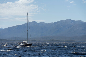 sailing on a yacht in the australian in the remote forest wilderness in spring in australia