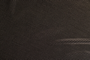 Obraz premium black striped fabric close up