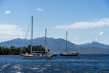 Fototapeta premium sailing on a yacht in the australian in the remote forest wilderness in spring in australia