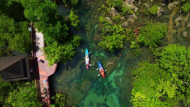 Top view Mangrove forest and river landscape at Thapom Klong Song Nam, Krabi Thailand, Beautiful root in mangrove forest with crystal clear water in small canal,High angle view