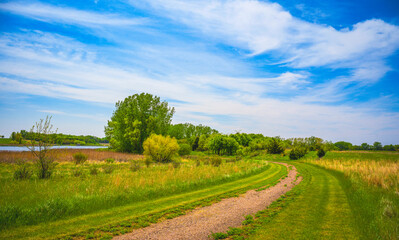 Dirt road, horizon, and the big sky: Tranquil midwestern farmland summer landscape in Hartford,...