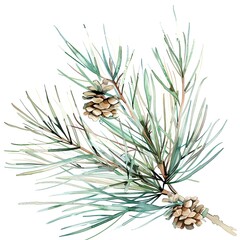 Fototapeta premium A watercolor painting of a pine branch with two pine cones. The branch is green and the pine cones are brown. The painting has a soft, natural look.