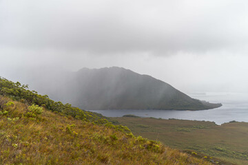 mountains in a wilderness in a national park with native plants and trees in a rainforest in Australia, forest growing in a national park in Tasmania. with rivers and exploring