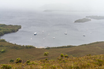 mountains in a wilderness in a national park with native plants and trees in a rainforest in Australia, forest growing in a national park in Tasmania. with rivers and exploring