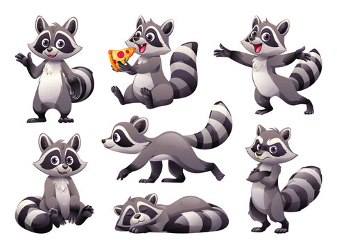 Set of raccoon in various poses. Vector cartoon illustration