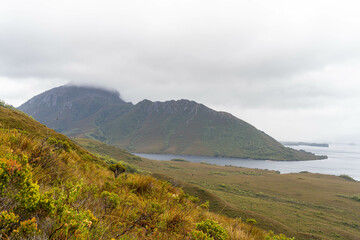 mountains in a wilderness in a national park with native plants and trees in a rainforest in Australia, forest growing in a national park in Tasmania. with rivers and exploring