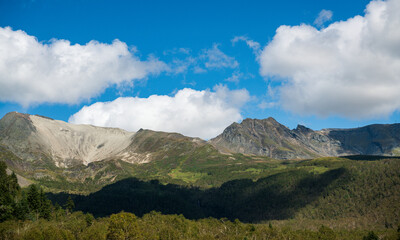 Fototapeta premium Alpine tundra scenery on the western slope of Tianchi in Changbai Mountain