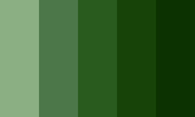 royal green color palette. abstract green background with stripes with lines