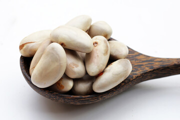 Jackfruit seeds on white background.