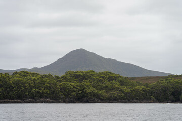 sailing on a yacht in the australian in the remote forest wilderness in spring in australia with waves breaking