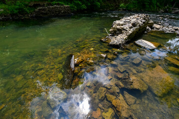 A Walk by the Cahaba River in Birmingham, Alabama