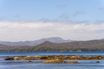 sailing on a yacht in the australian in the remote forest wilderness in spring, with waves breaking on a beach on the australian coastline