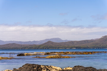 sailing on a yacht in the australian in the remote forest wilderness in spring, with waves breaking on a beach on the australian coastline